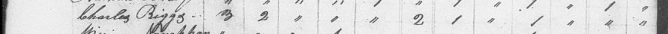 Charles Rigg listed in the 1800 Census of Stokes Co., NC