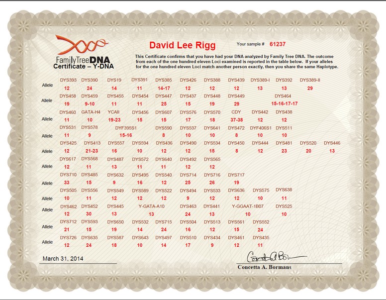 FamilyTreeDNA Y-DNA Certificate for David L. Rigg