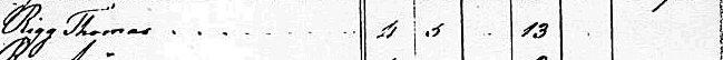 Thomas Rigg in the 1790 Personal Property Tax List for Henry Co., VA